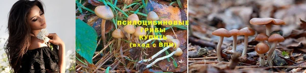 стафф Балахна